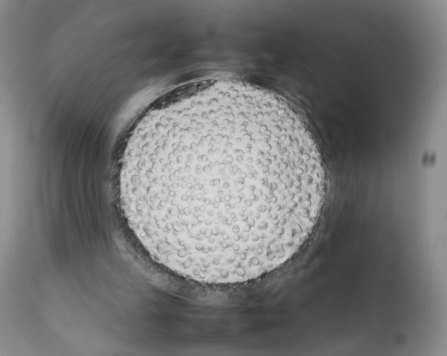 X0000111780149200909031141