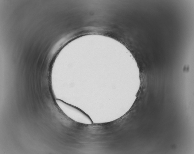 X0000111780150200909031141