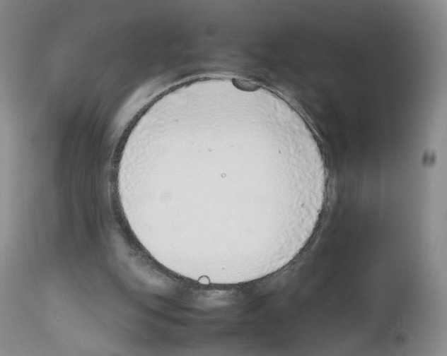 X0000111780151200909031141