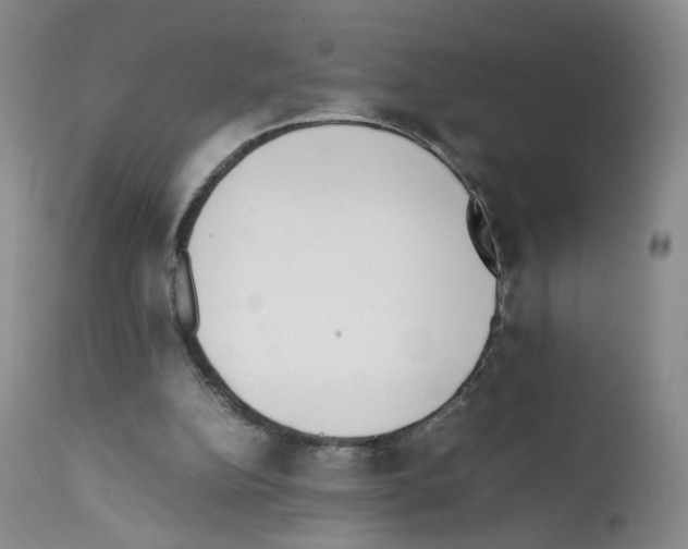 X0000111780152200909031141