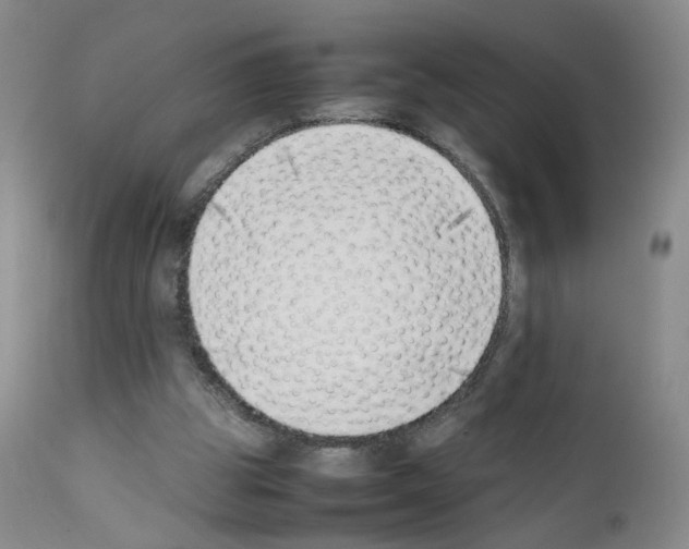 X0000111780153200909031141