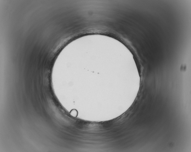 X0000111780154200909031141