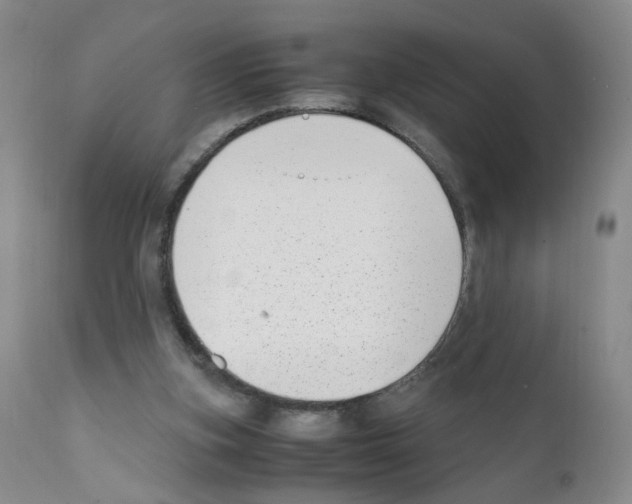 X0000111780155200909031141