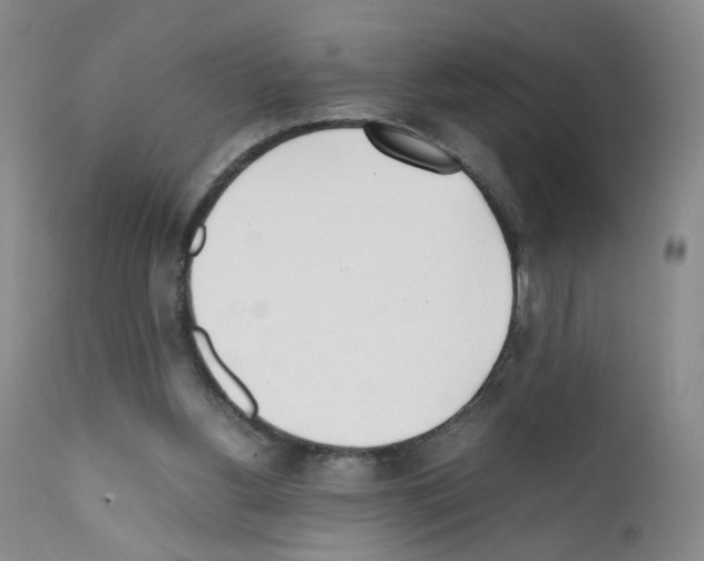 X0000111780156200909031141
