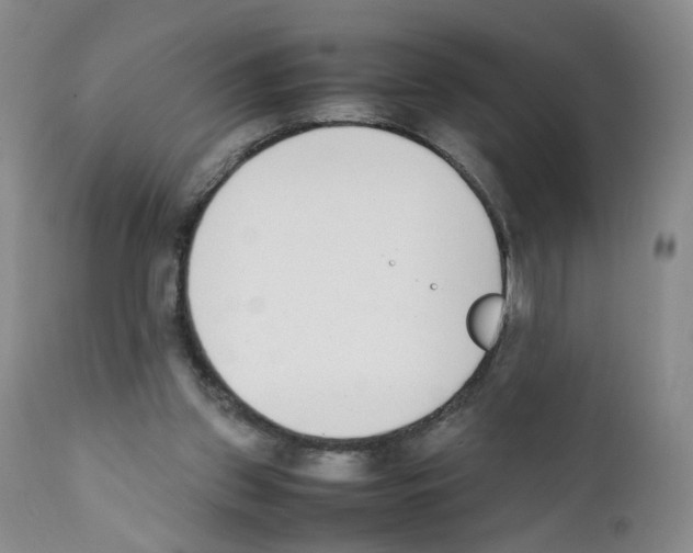 X0000111780157200909031141