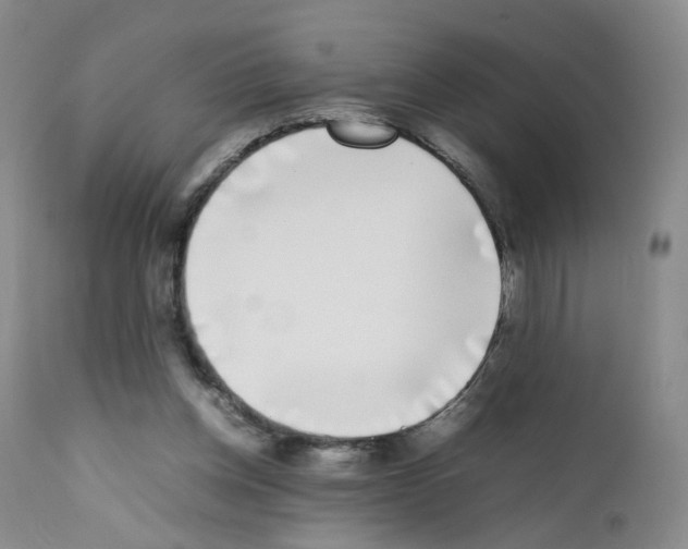 X0000111780158200909031141