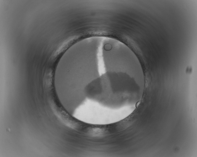 X0000111780163200909031141