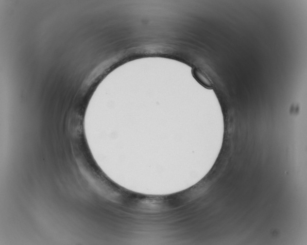 X0000111780164200909031141