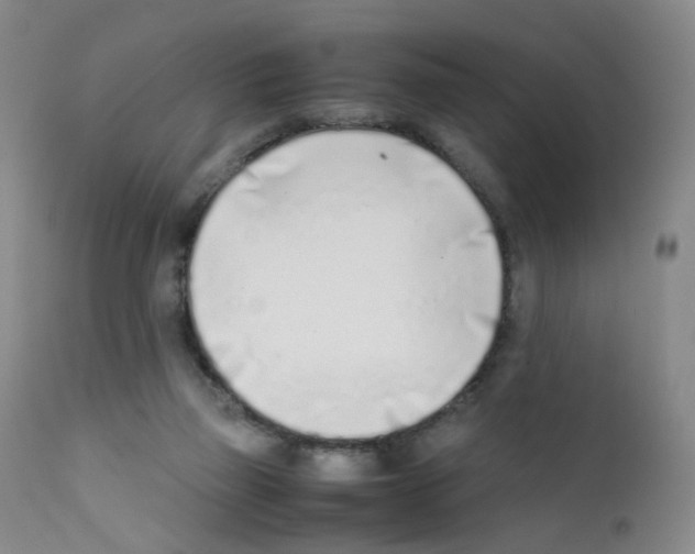 X0000111780165200909031141