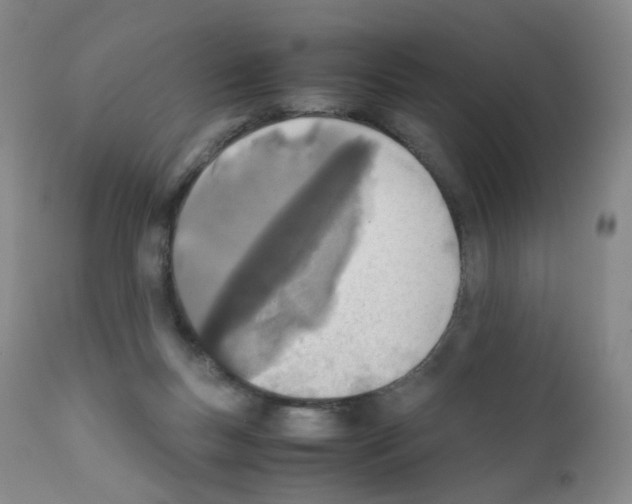 X0000111780167200909031141