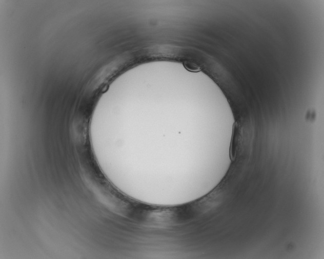 X0000111780168200909031141