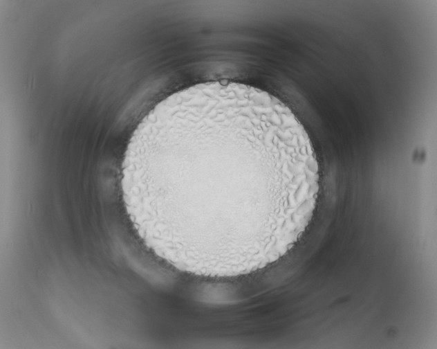 X0000111780169200909031141