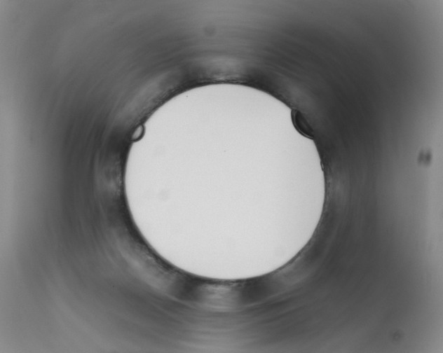 X0000111780170200909031141