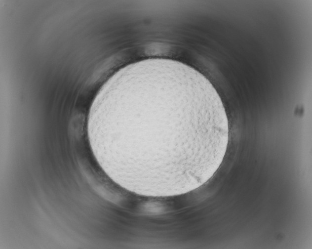 X0000111780171200909031141