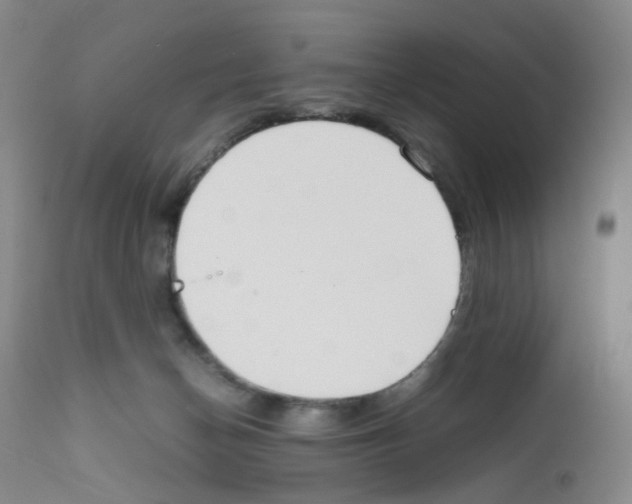 X0000111780174200909031141