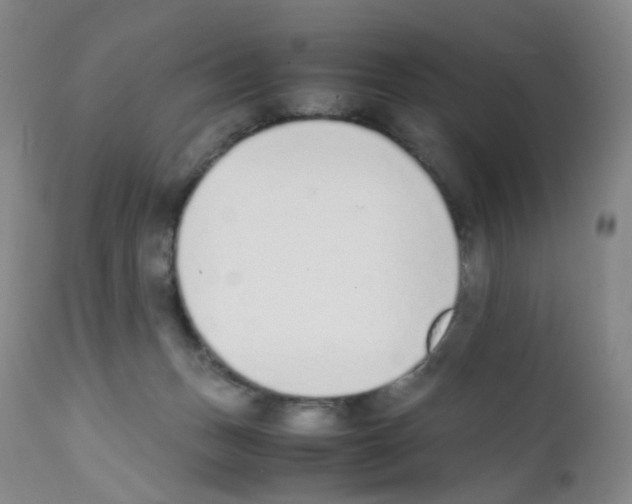 X0000111780175200909031141