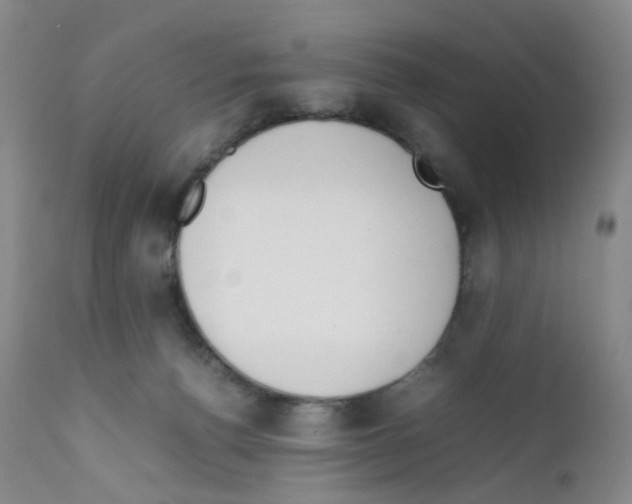 X0000111780176200909031141