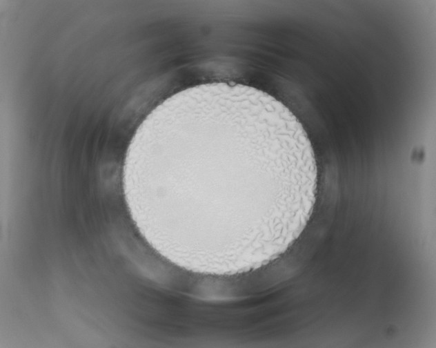 X0000111780177200909031141