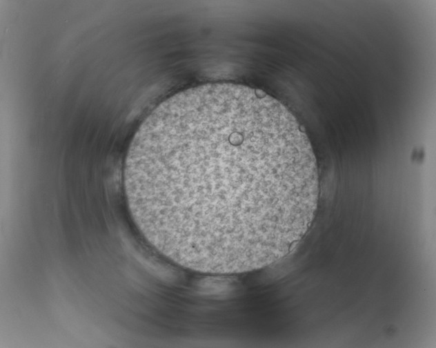 X0000111780179200909031141
