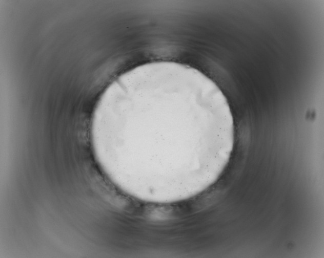 X0000111780181200909031141