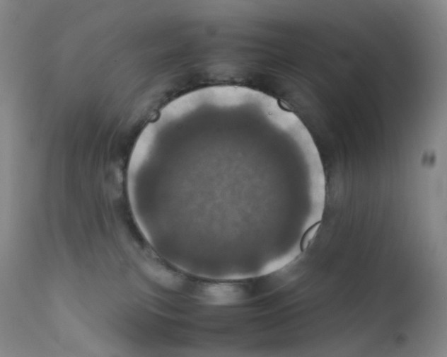 X0000111780183200909031141