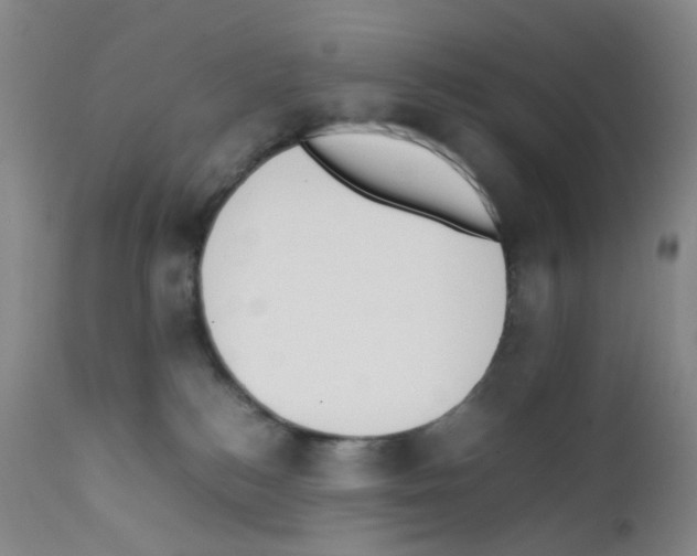 X0000111780184200909031142