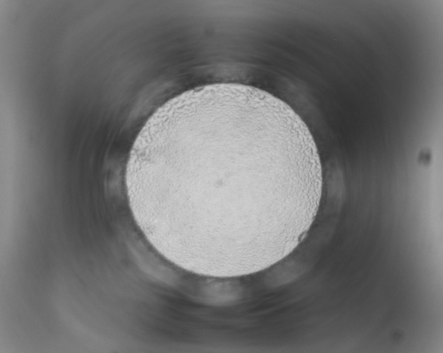 X0000111780185200909031142