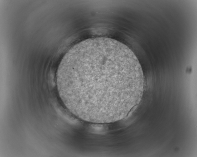 X0000111780187200909031142