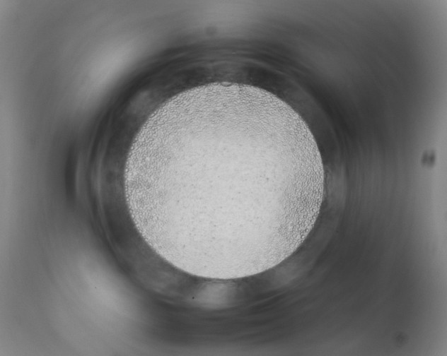 X0000111780189200909031142