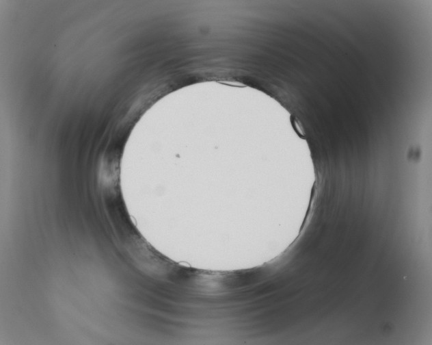 X0000111780190200909031142