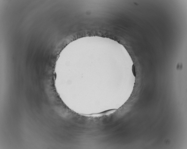 X0000111780192200909031142