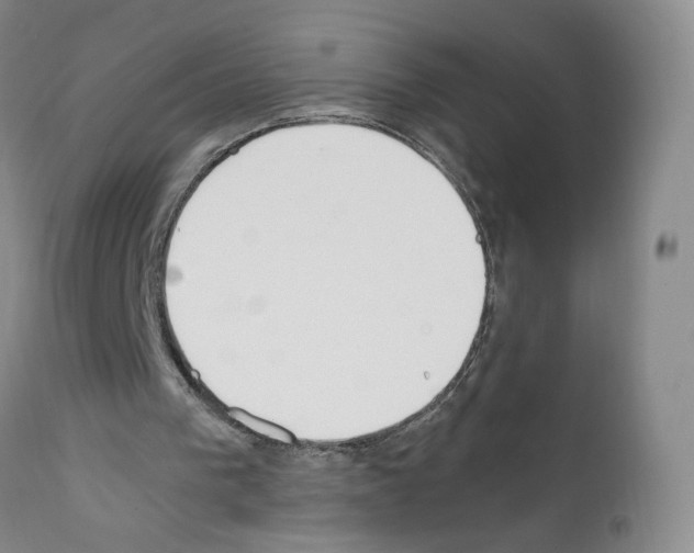 X0000111780193200909031141
