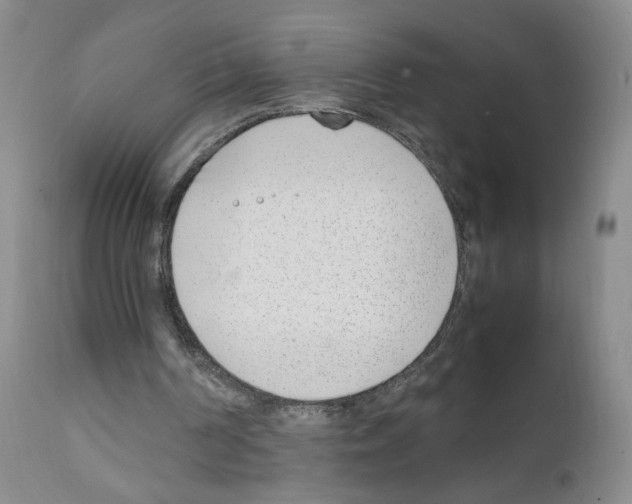 X0000111780194200909031141