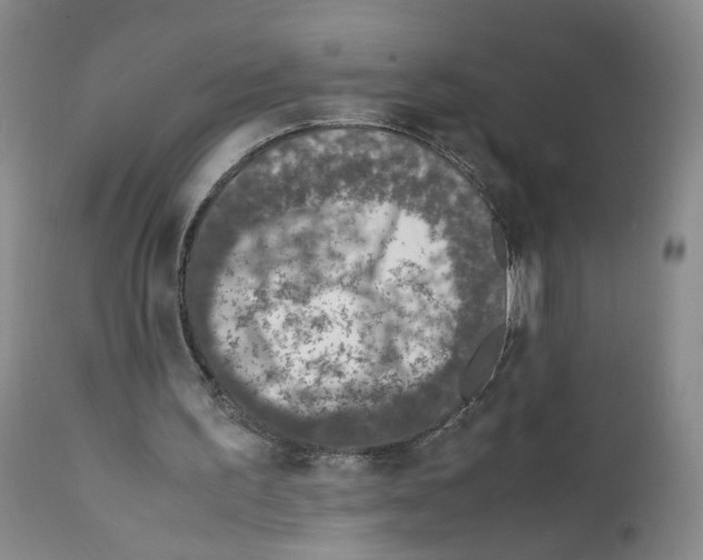 X0000111780195200909031141
