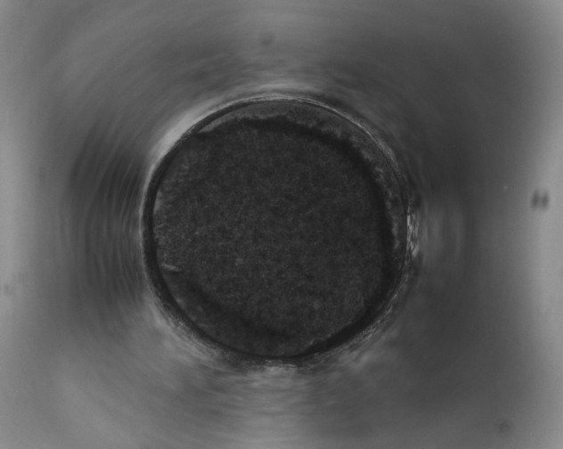 X0000111780196200909031141