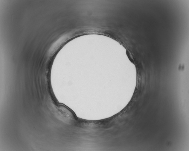 X0000111780197200909031141