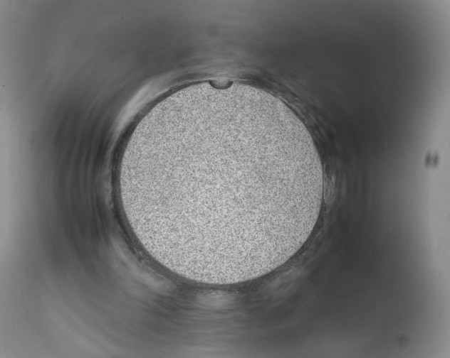 X0000111780198200909031141