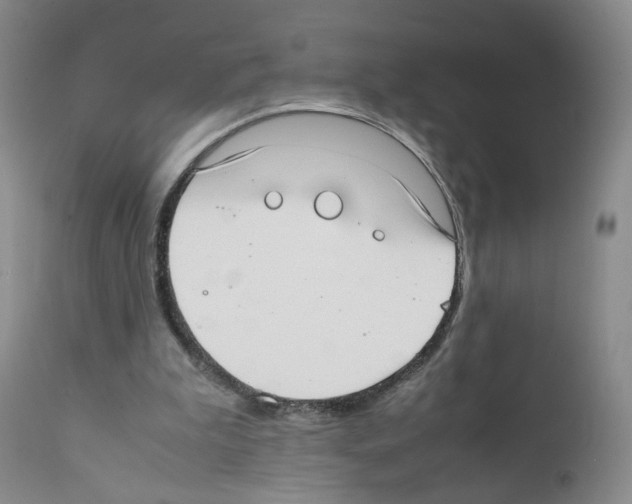 X0000111780199200909031141