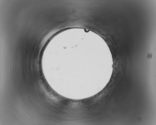 X0000111780200200909031141