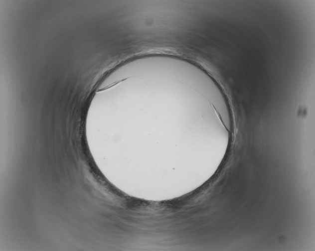 X0000111780201200909031141