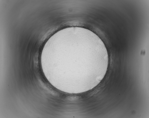 X0000111780202200909031141