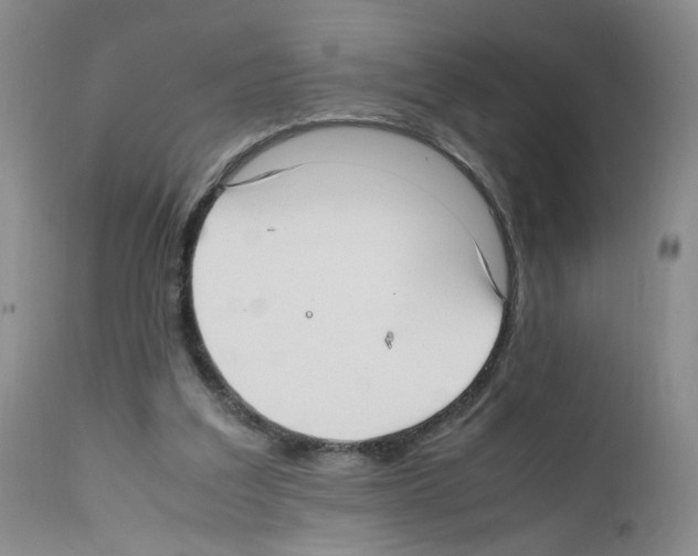 X0000111780203200909031141