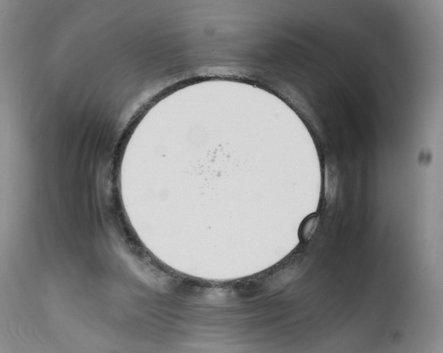 X0000111780204200909031141