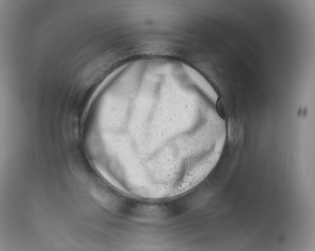 X0000111780205200909031141