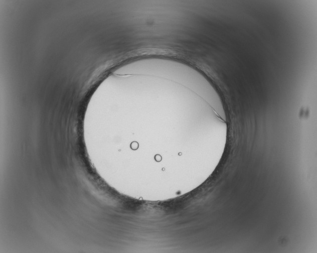 X0000111780207200909031141