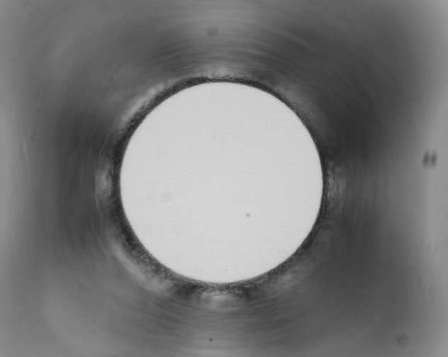 X0000111780208200909031141