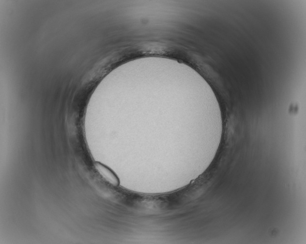 X0000111780209200909031141