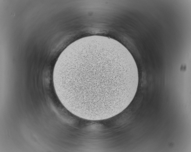 X0000111780210200909031141