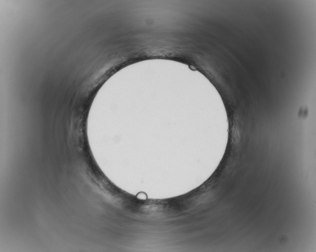 X0000111780211200909031140