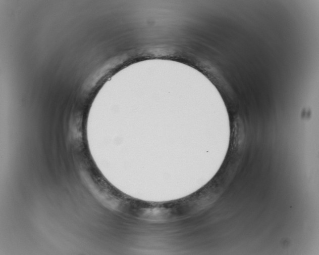 X0000111780212200909031140